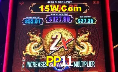 PP11 - Customer Support